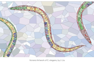 Liquid Neural Networks(LNNs): Can we emulate human brain neurons?